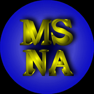 MSNA - Dise&ntilde;o y alojamiento de sitios web